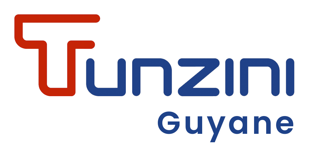 Logo Tunzini Guyane